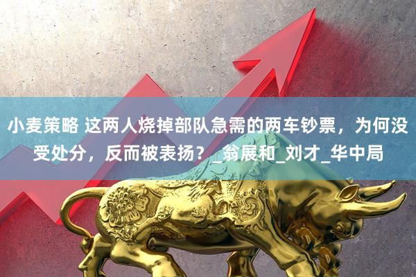 小麦策略 这两人烧掉部队急需的两车钞票，为何没受处分，反而被表扬？_翁展和_刘才_华中局