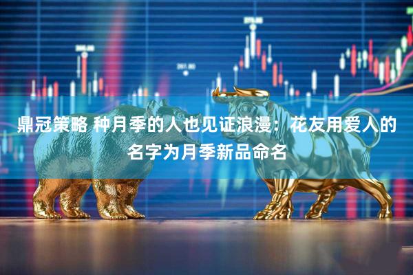 鼎冠策略 种月季的人也见证浪漫：花友用爱人的名字为月季新品命名