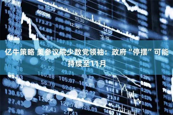 亿牛策略 美参议院少数党领袖：政府“停摆”可能持续至11月