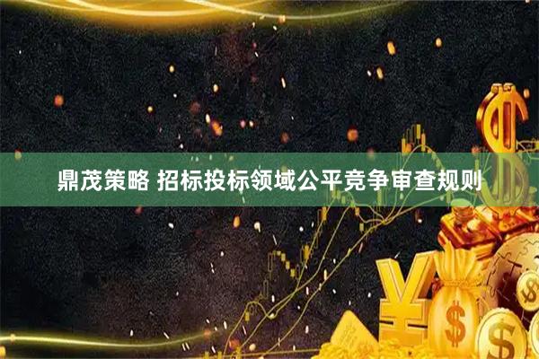 鼎茂策略 招标投标领域公平竞争审查规则